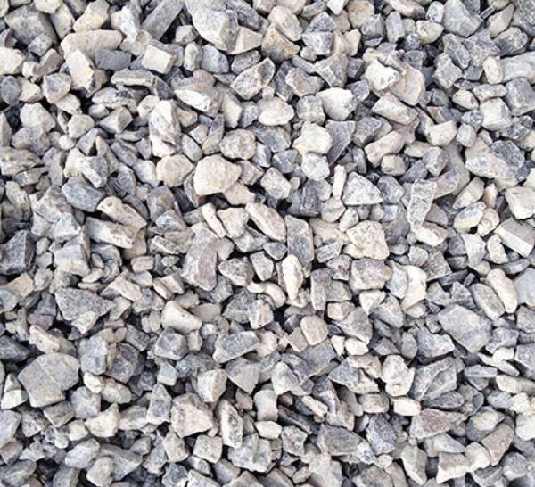 �V���������